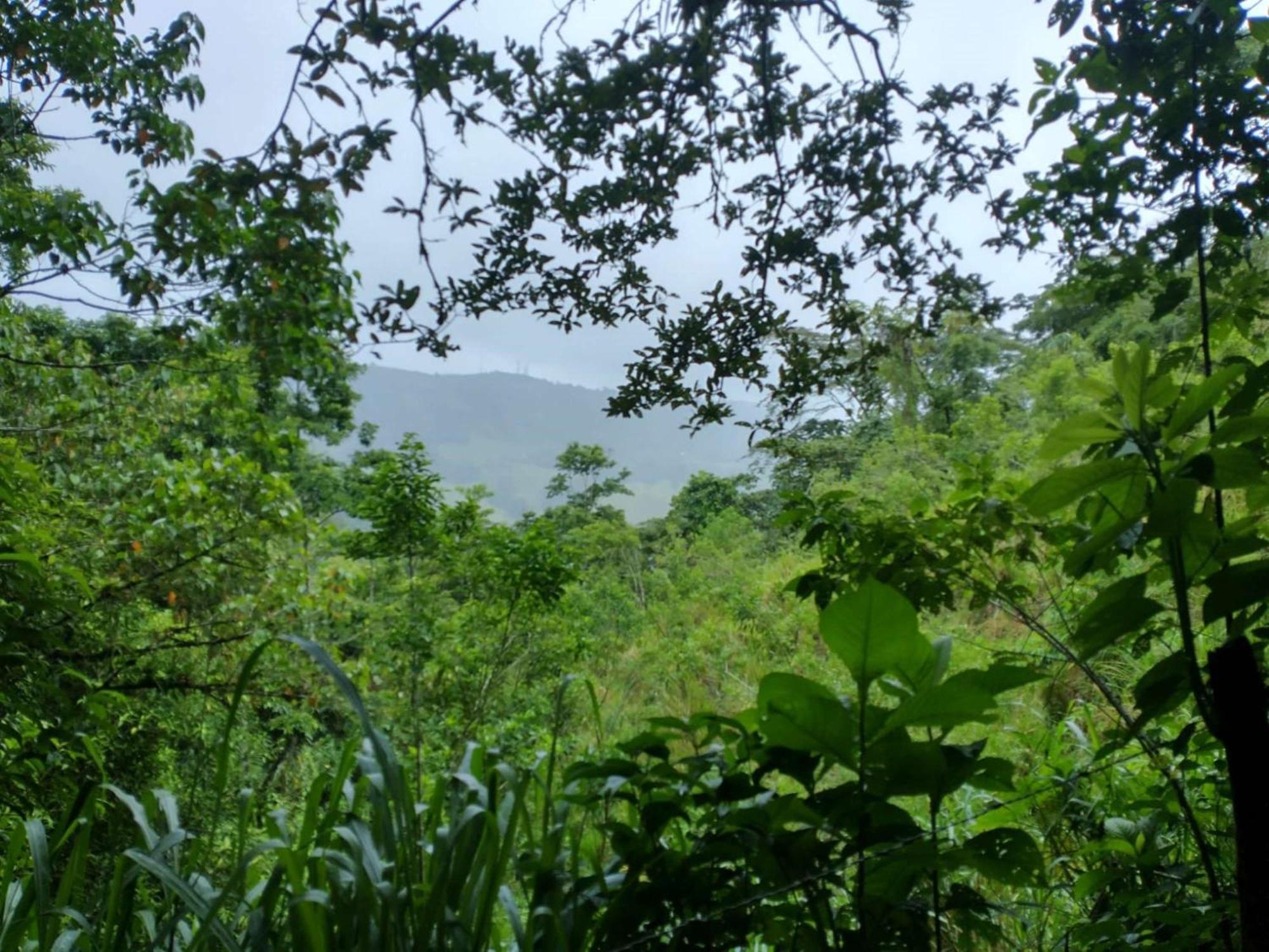 Best Western Hotel & Casino Kamuk Manuel Antonio Exterior photo